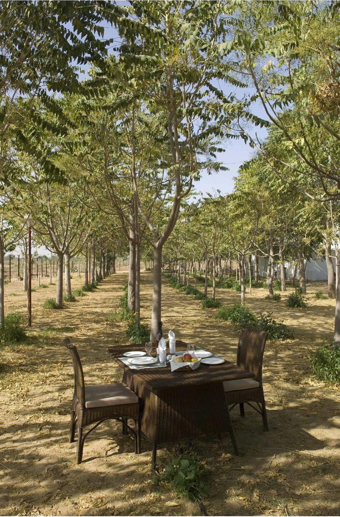 The Greenhouse Resort Pushkar Esterno foto